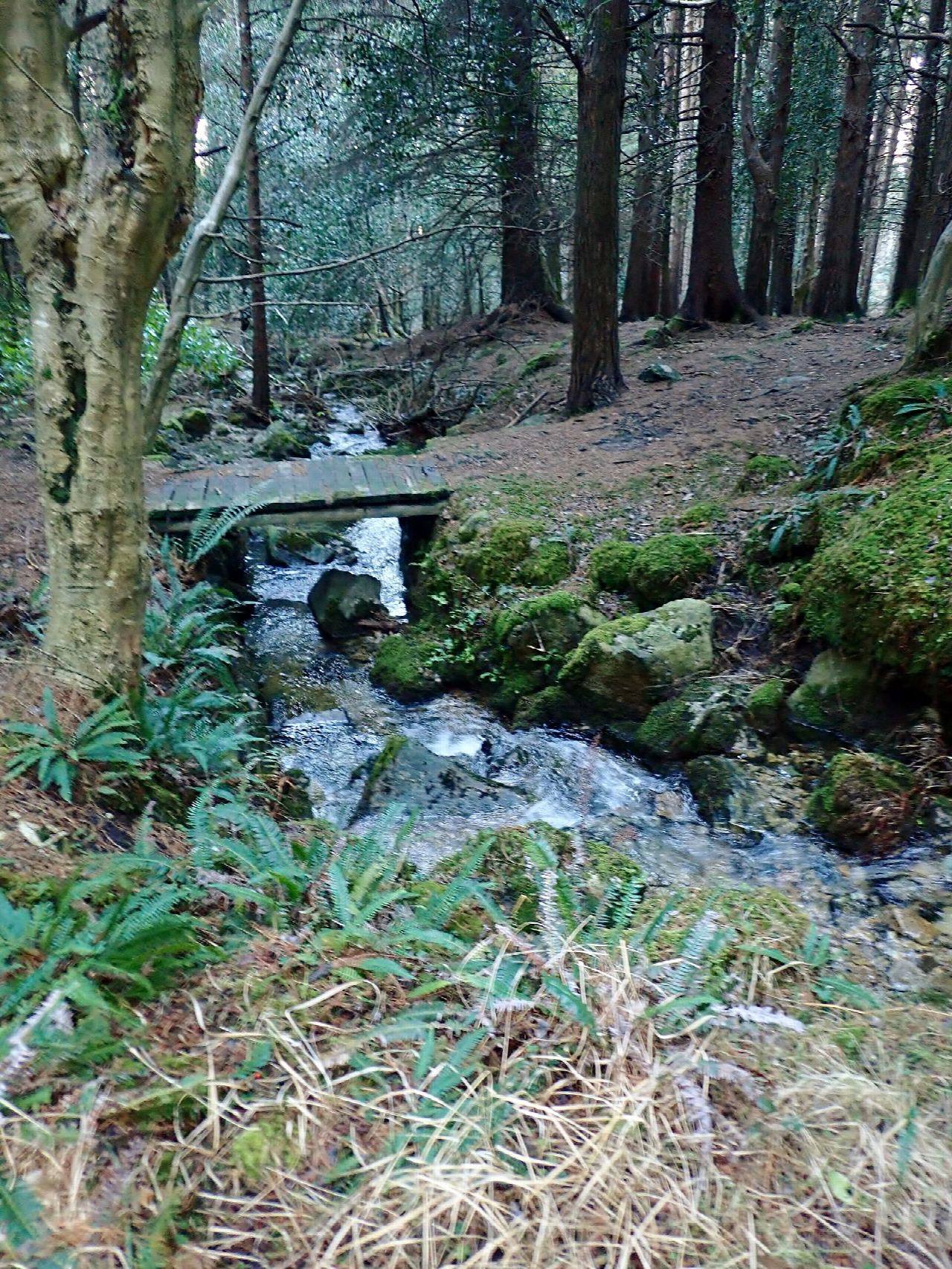The Granite Trail above Newcastle