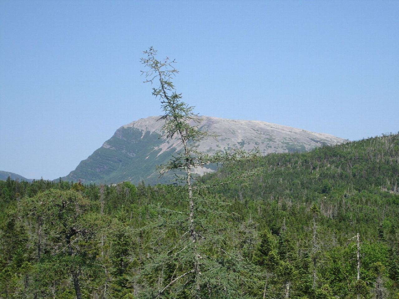 Gros Morne Mountain
