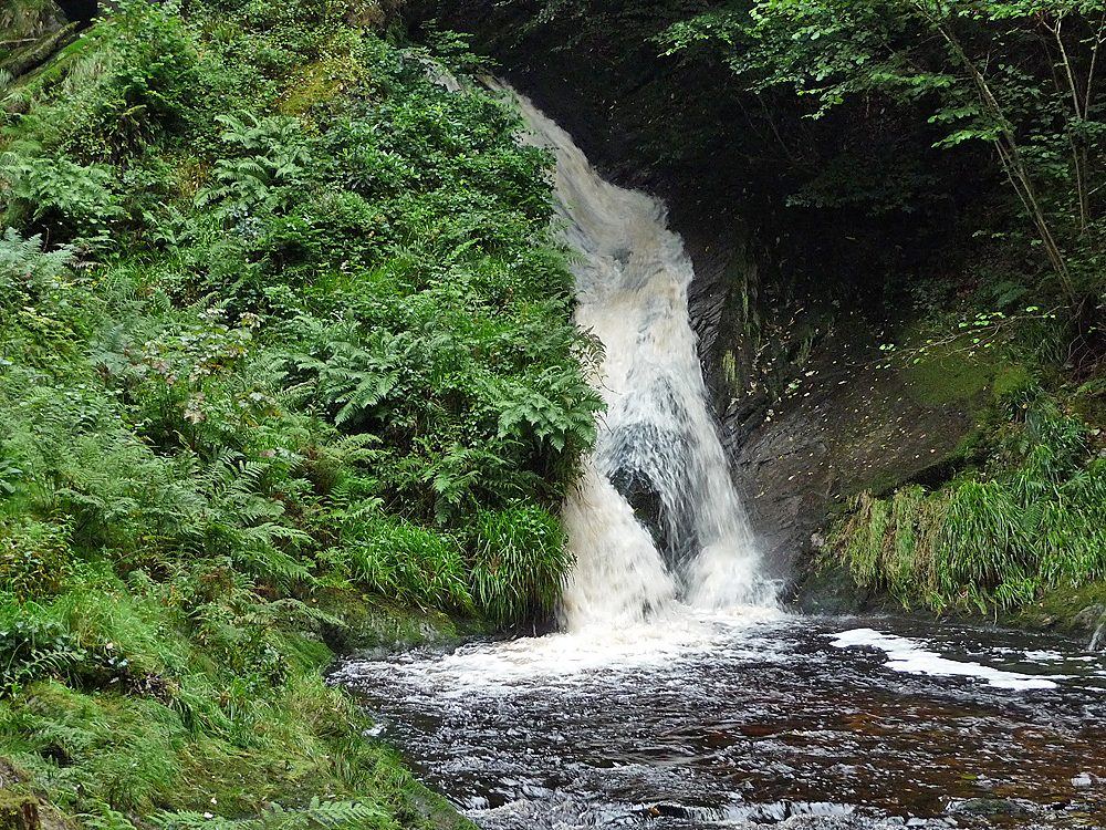 Hafod Estate: Lady's Walk and the Ystwyth Gorge