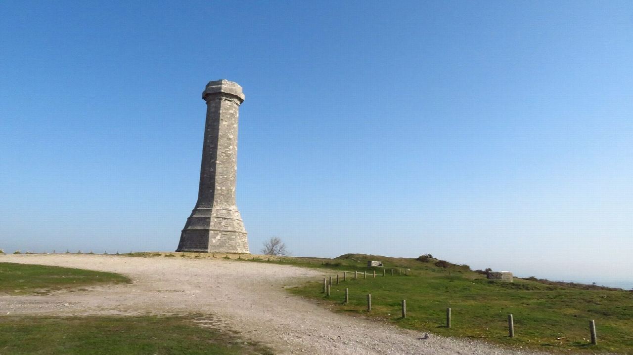 Hardy Monument and Portesham from Black Down