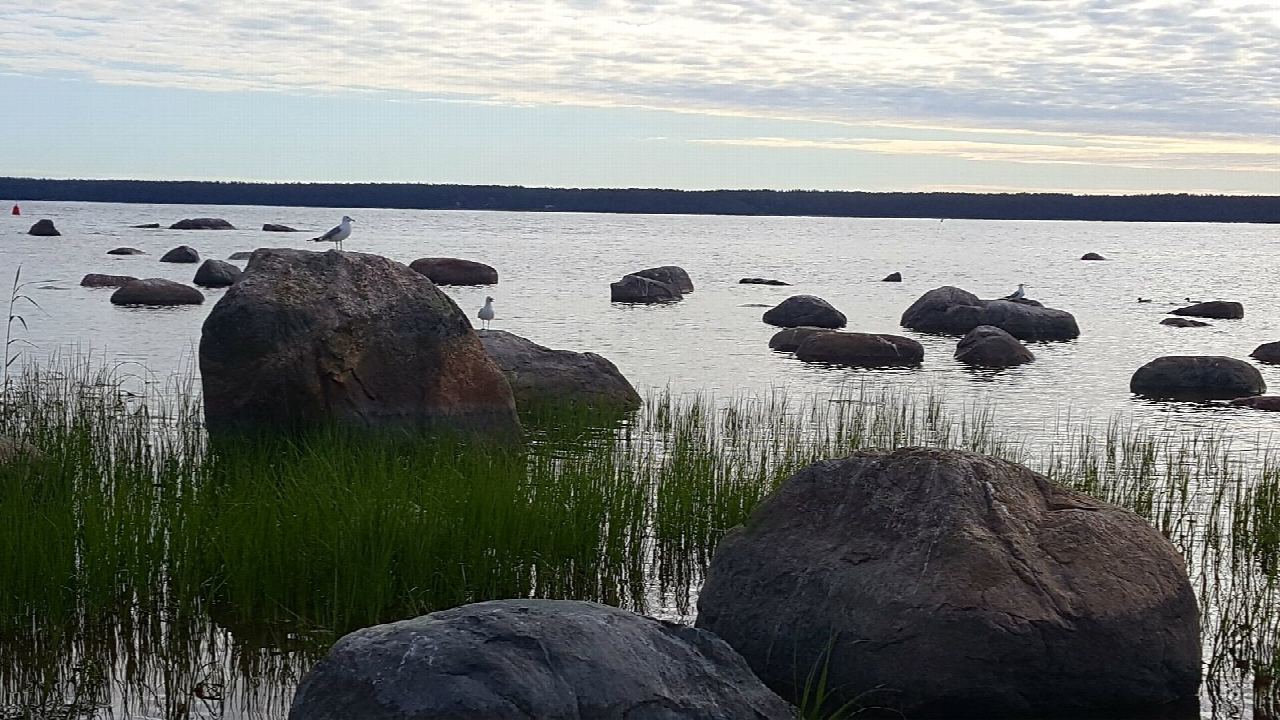 Round the Käsmu peninsula by the shore