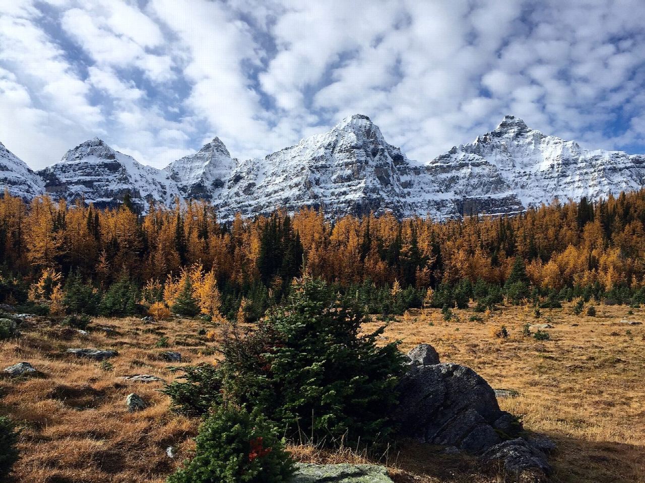 Larch Valley from Moraine Lake