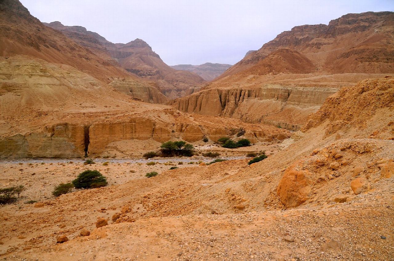 Lower Nahal Tze'elim to Ein Anava and Ein Namer