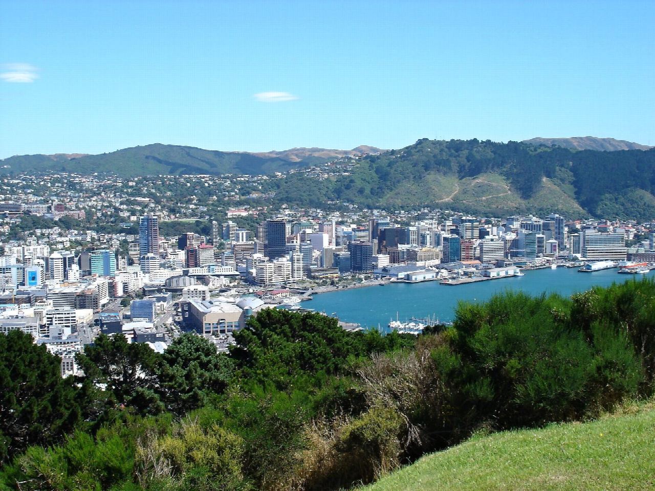 Matairangi/Mount Victoria from Oriental Bay