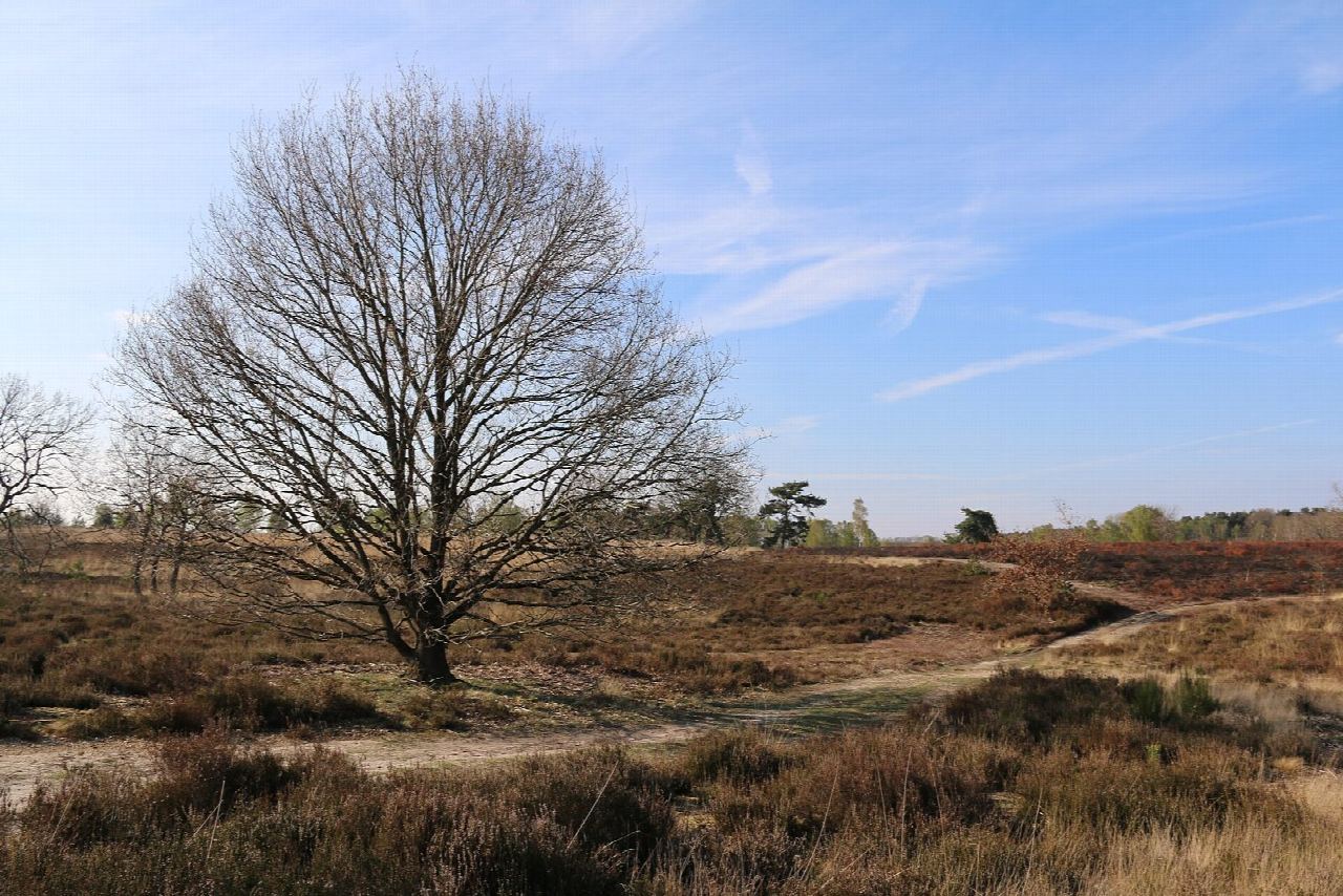 Mechelse Heide, de rode route