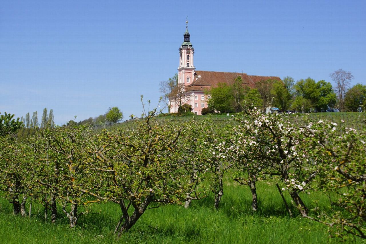 Meersburg to Unteruhldingen and Birnau by the Gehautobel