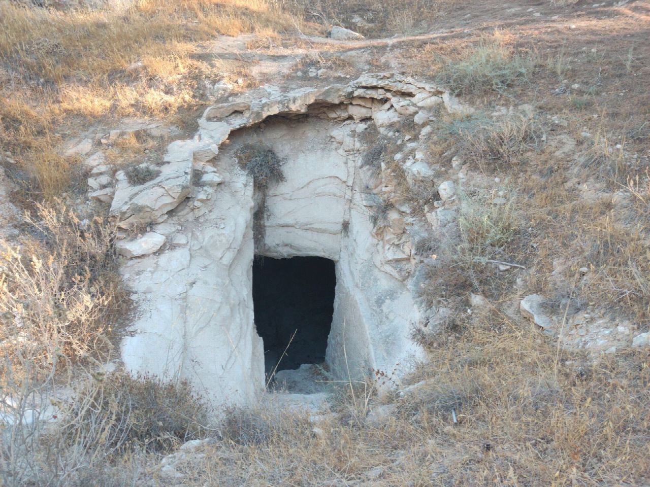 The Meitar Forest singletrack