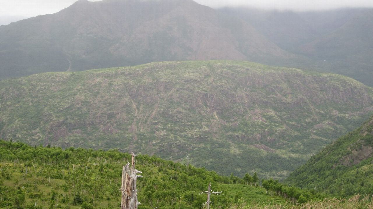 Le Mont-Ernest-Laforce, Parc national de la Gaspésie