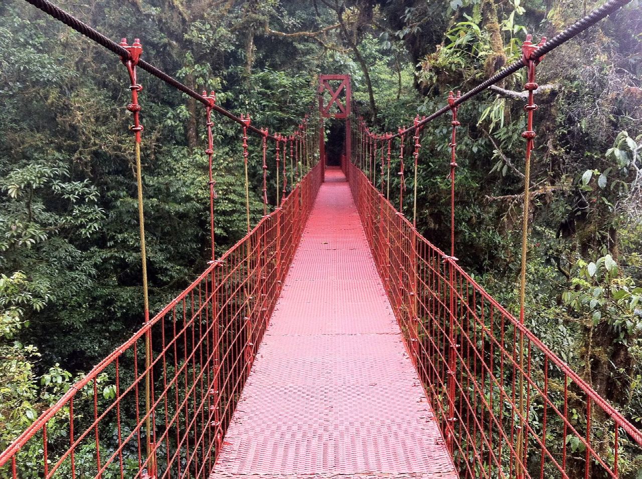 Mirador La Ventana, Reserva Bosque Nuboso Monteverde