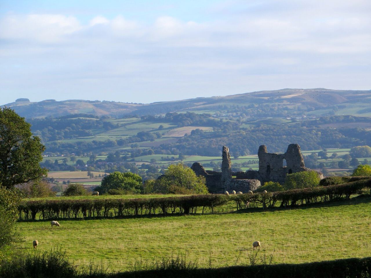 Montgomery Castle and Ffridd Faldwyn