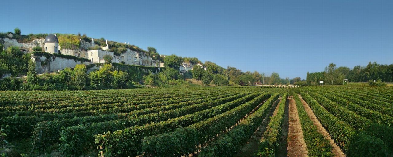 Montsoreau and Turquant between the Loire and the troglodytes