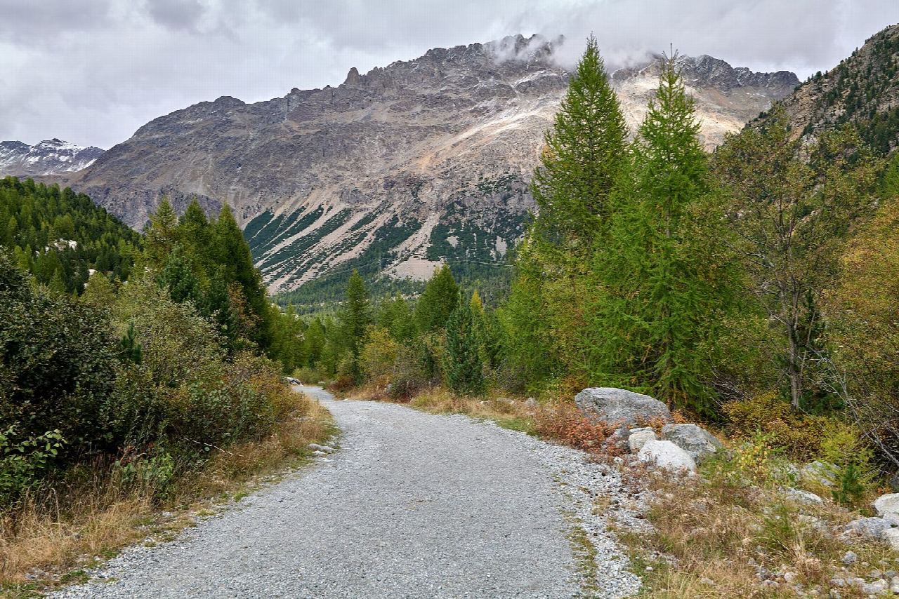 The Morteratsch glacier trail from Morteratsch station