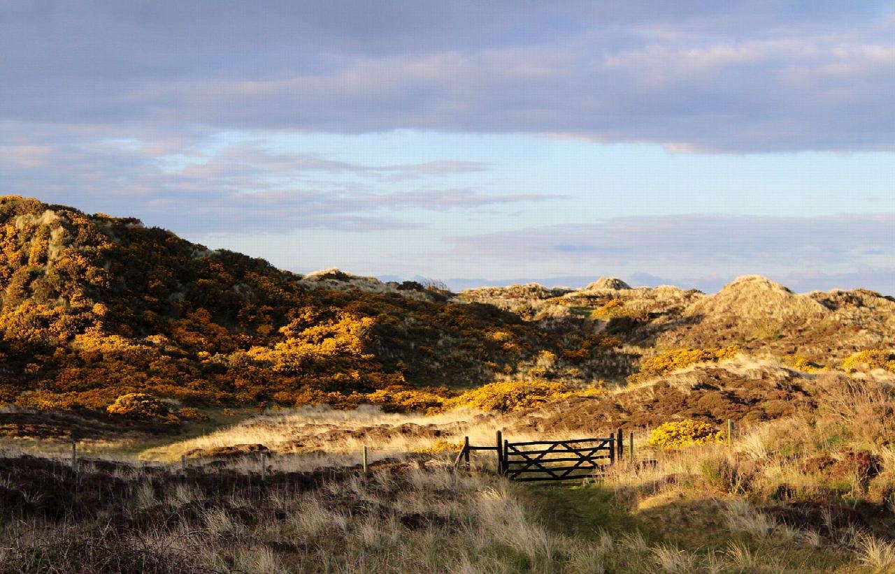 Murlough Nature Reserve: dunes and beach