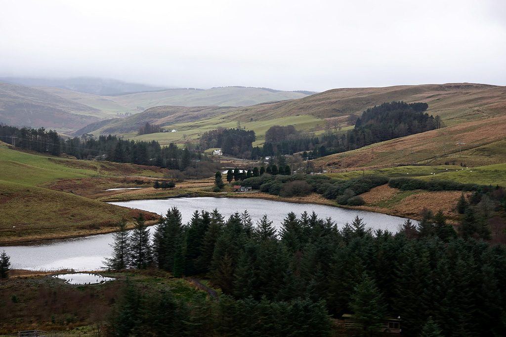 Nant yr Arian: the ridge and the red kites