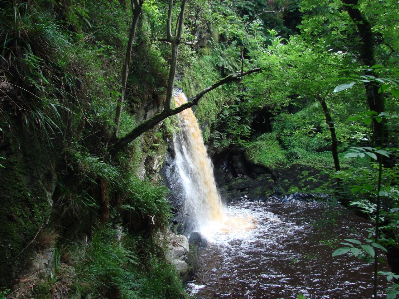 Ness Country Park and the Ness Waterfall