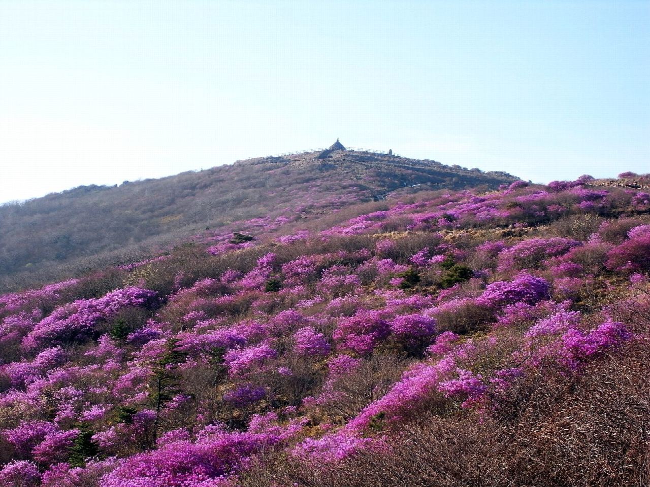Nogodan Pass from Seongsamjae
