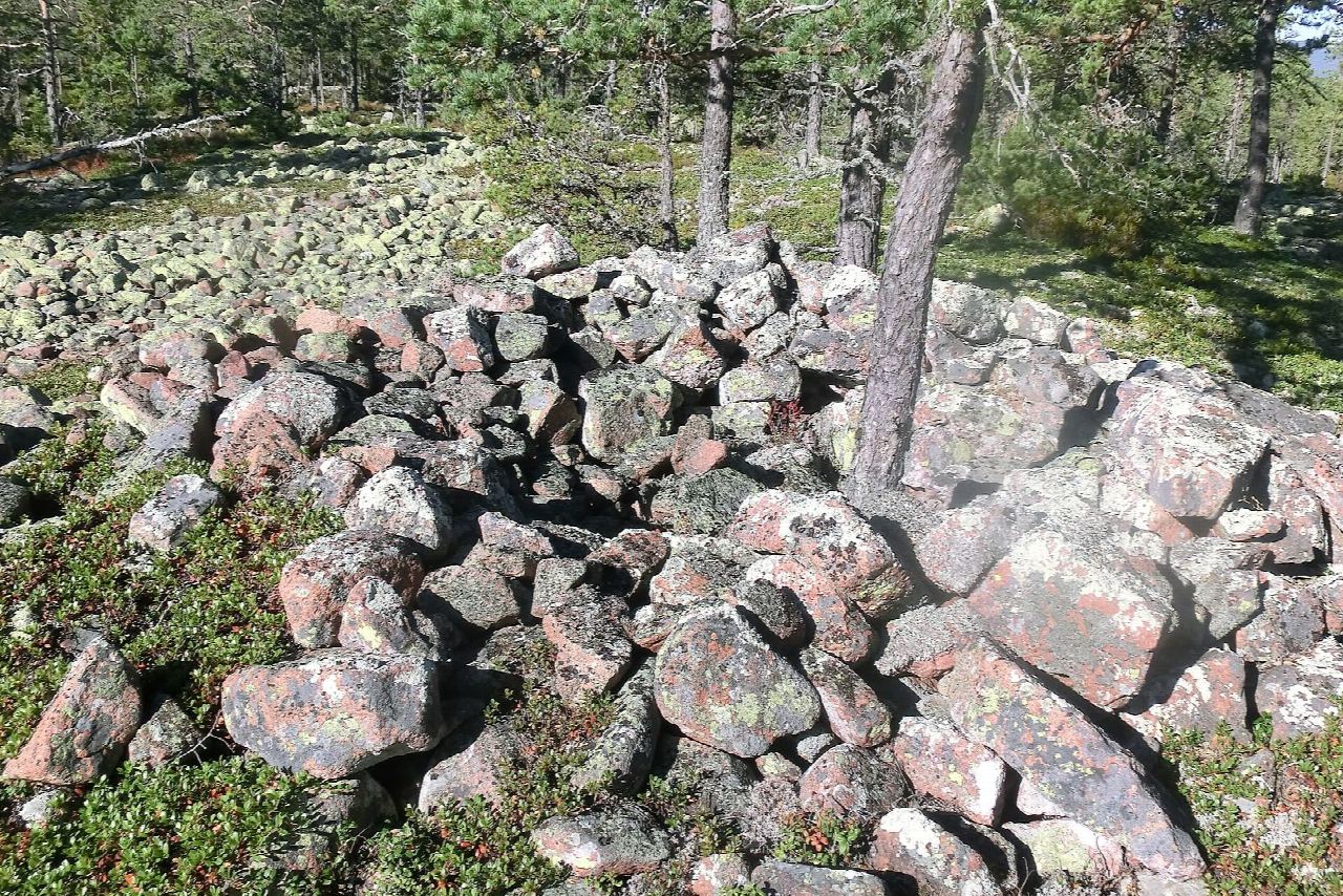 Norrfällsviken nature reserve loop