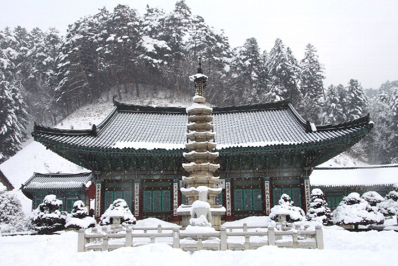 Odaesan fir forest and the Seonjae-gil to Sangwonsa