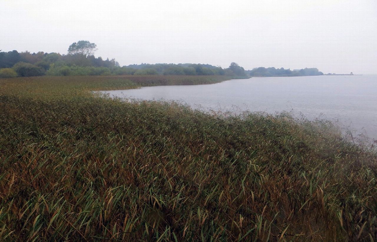 Oxford Island National Nature Reserve and Kinnego Bay