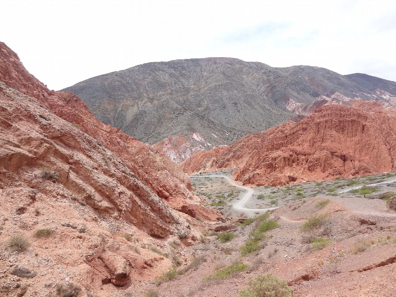 Paseo de los Colorados