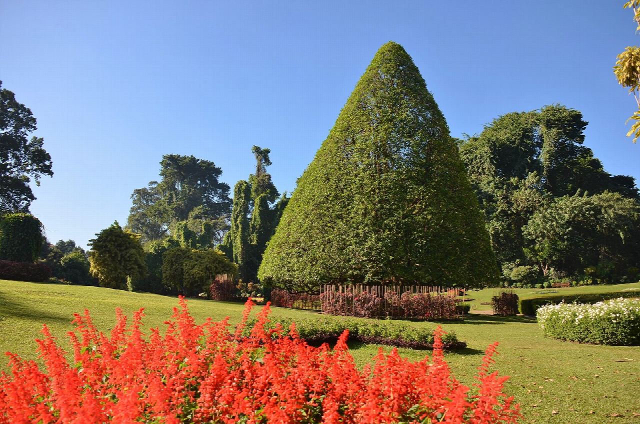 Royal Botanic Gardens, Peradeniya