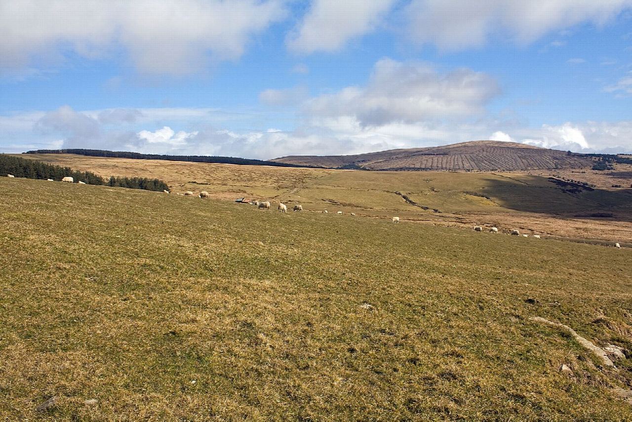 Foel Eryr, Foel Feddau and Foel Cwmcerwyn on the Preseli ridge