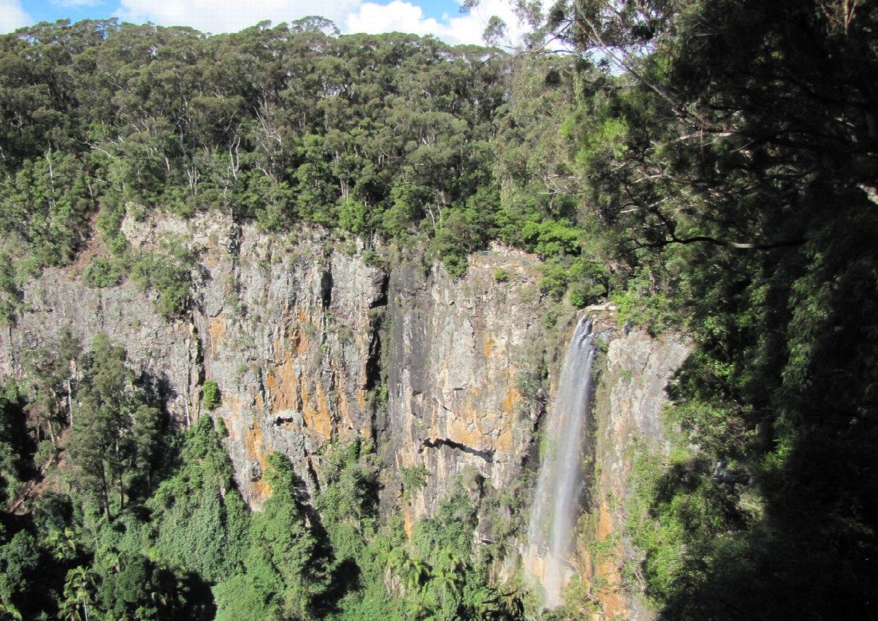 Purling Brook Falls circuit, Springbrook