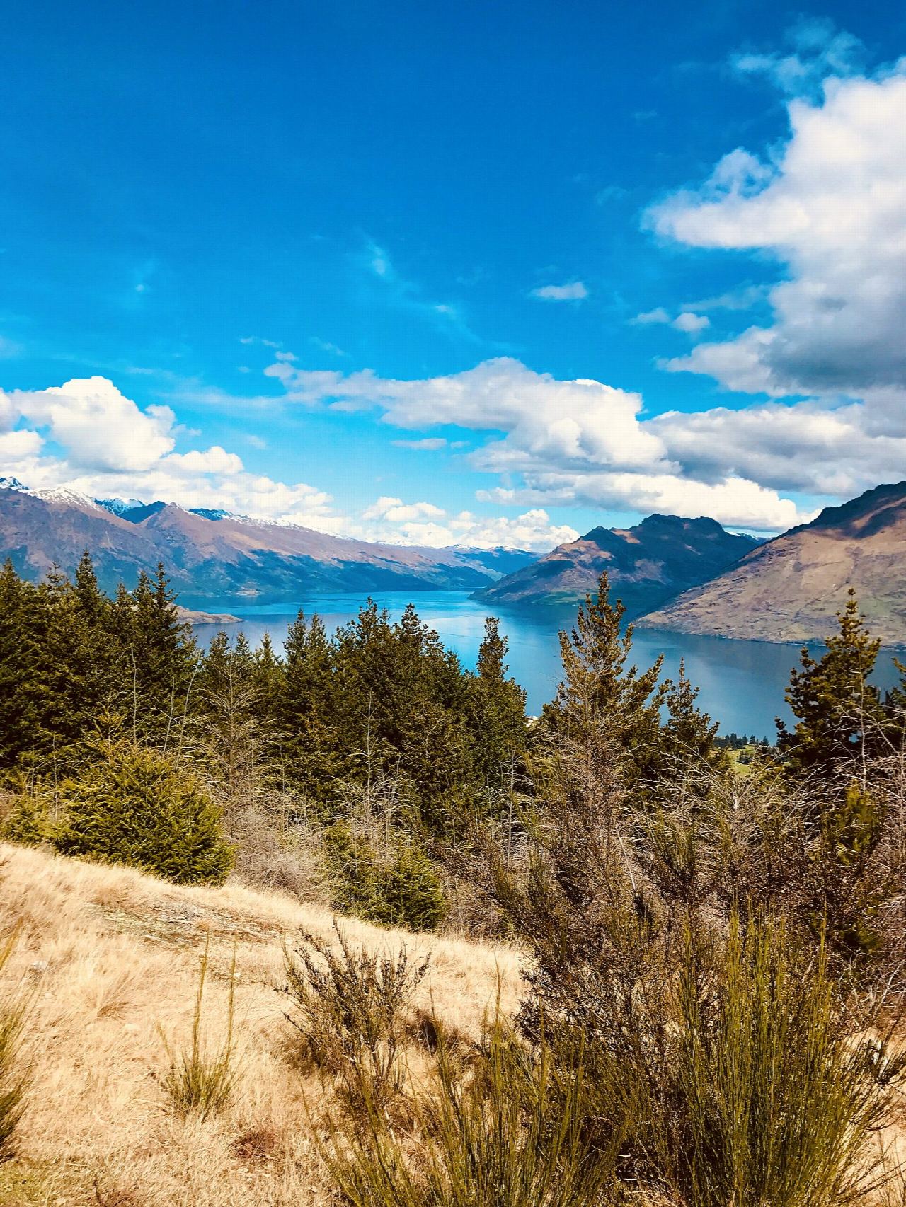 Te Tapunui/Queenstown Hill Time Walk