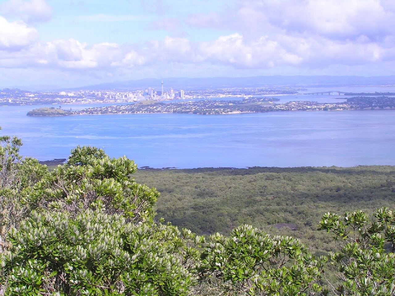 Rangitoto summit and lava caves