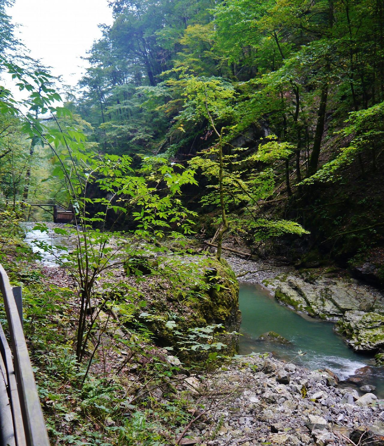 Rappenlochschlucht and the Staufensee from the Gütle