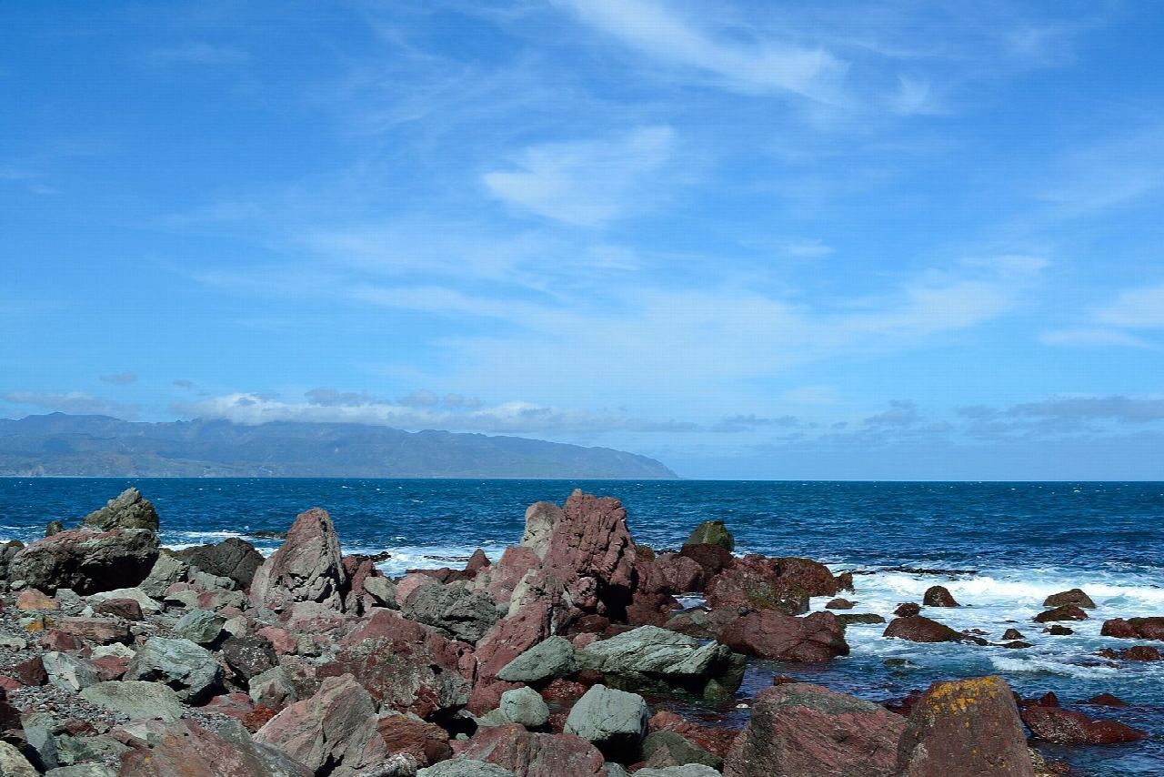 Pariwhero/Red Rocks and Te Rimurapa/Sinclair Head
