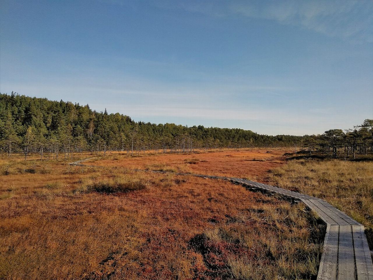 Riisa bog boardwalk trail, Soomaa