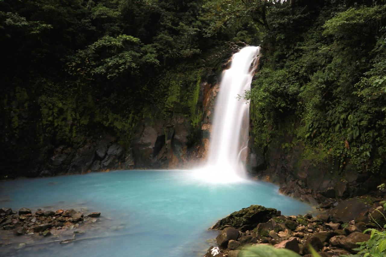 Catarata Río Celeste y Los Teñideros, Volcán Tenorio