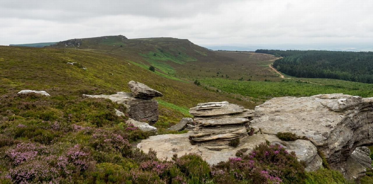 The Simonside Hills from Lordenshaw
