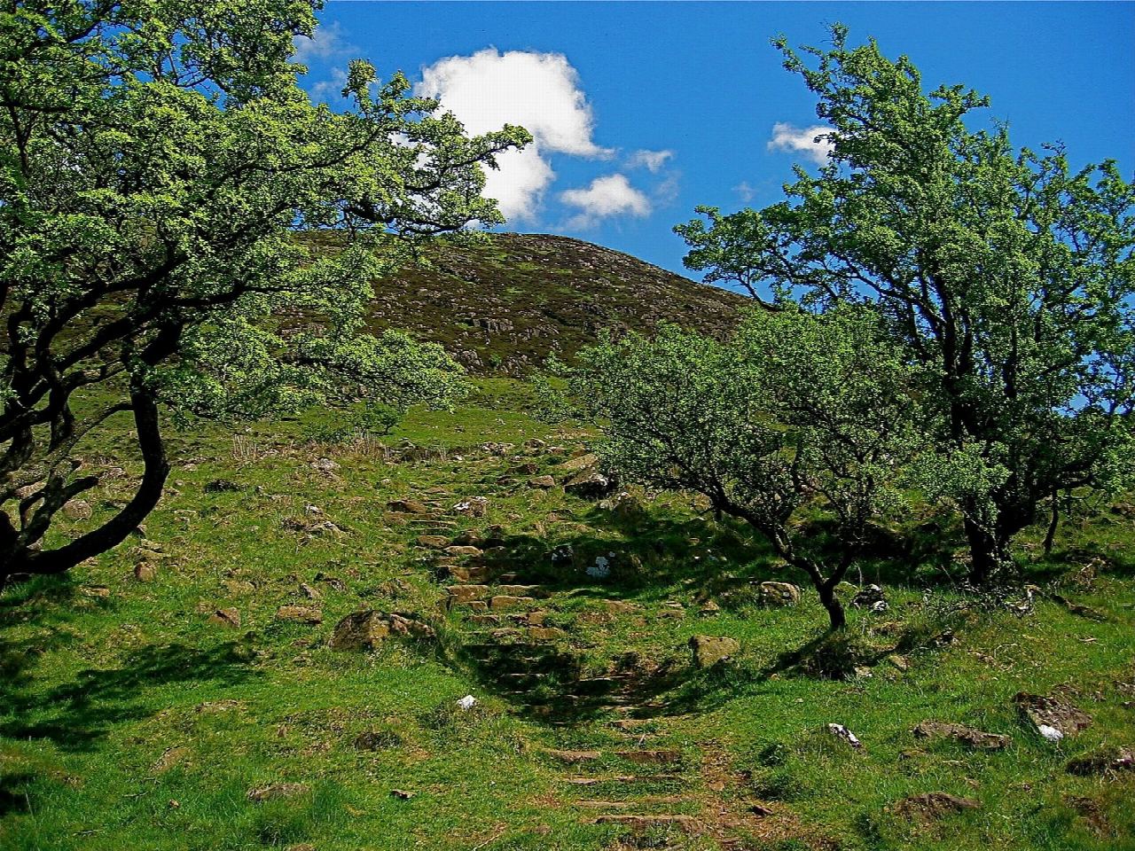 Slemish Mountain