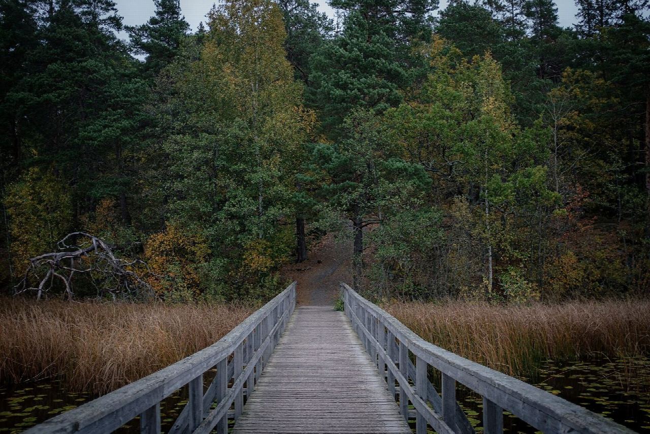 Sörmlandsleden from Björkhagen through Nackareservatet to Skogshyddan