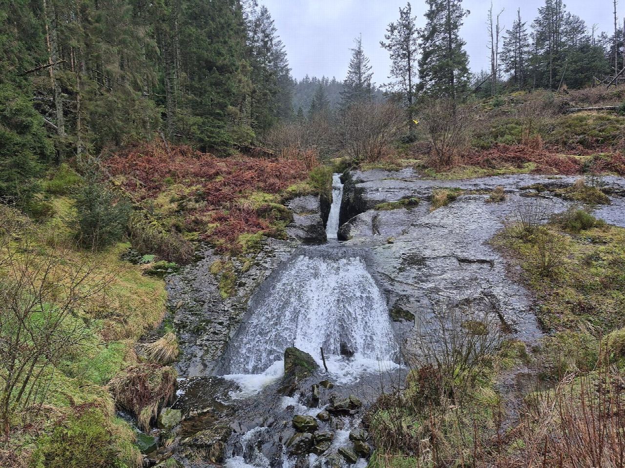 Source of the Severn from Hafren Forest
