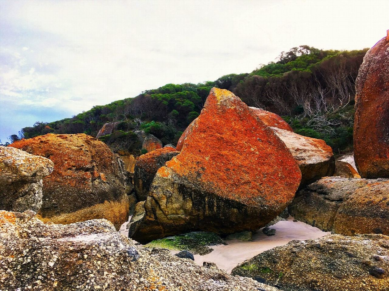 Pillar Point and Squeaky Beach from Tidal River