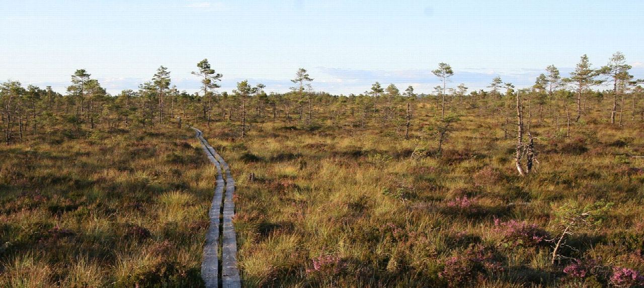 Store Mosse: Kävsjön runt from the naturum