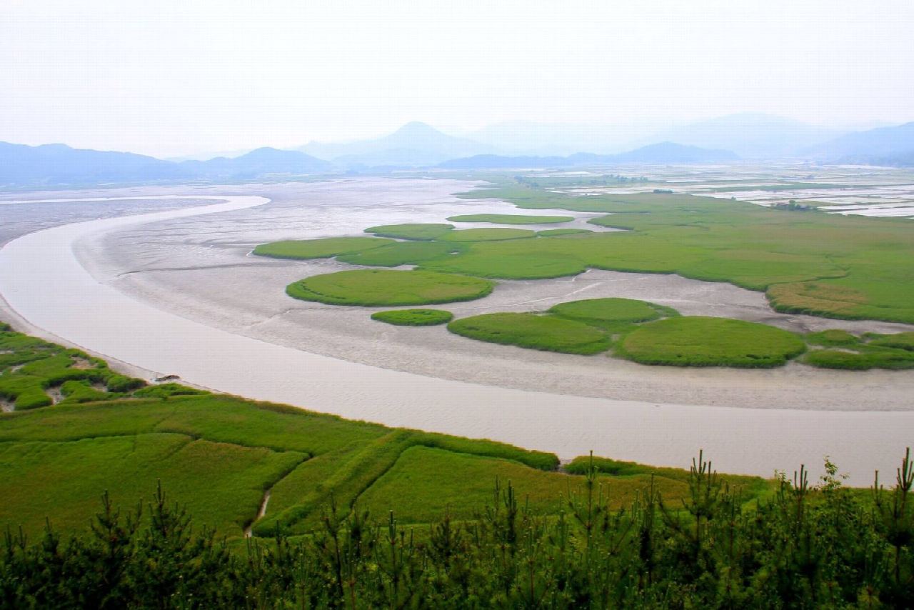 Suncheon Bay reed beds and Yongsan Observatory