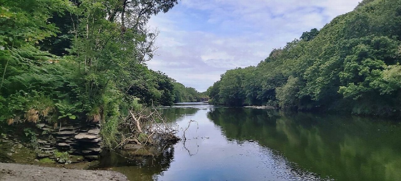 Teifi Marshes and Cilgerran Castle