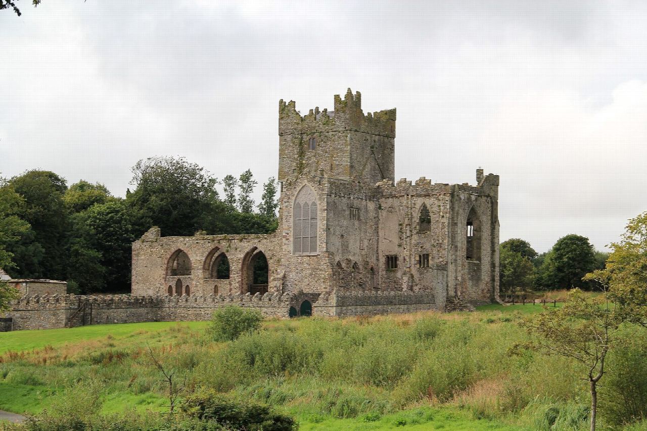 Tintern Abbey and the Colclough woods