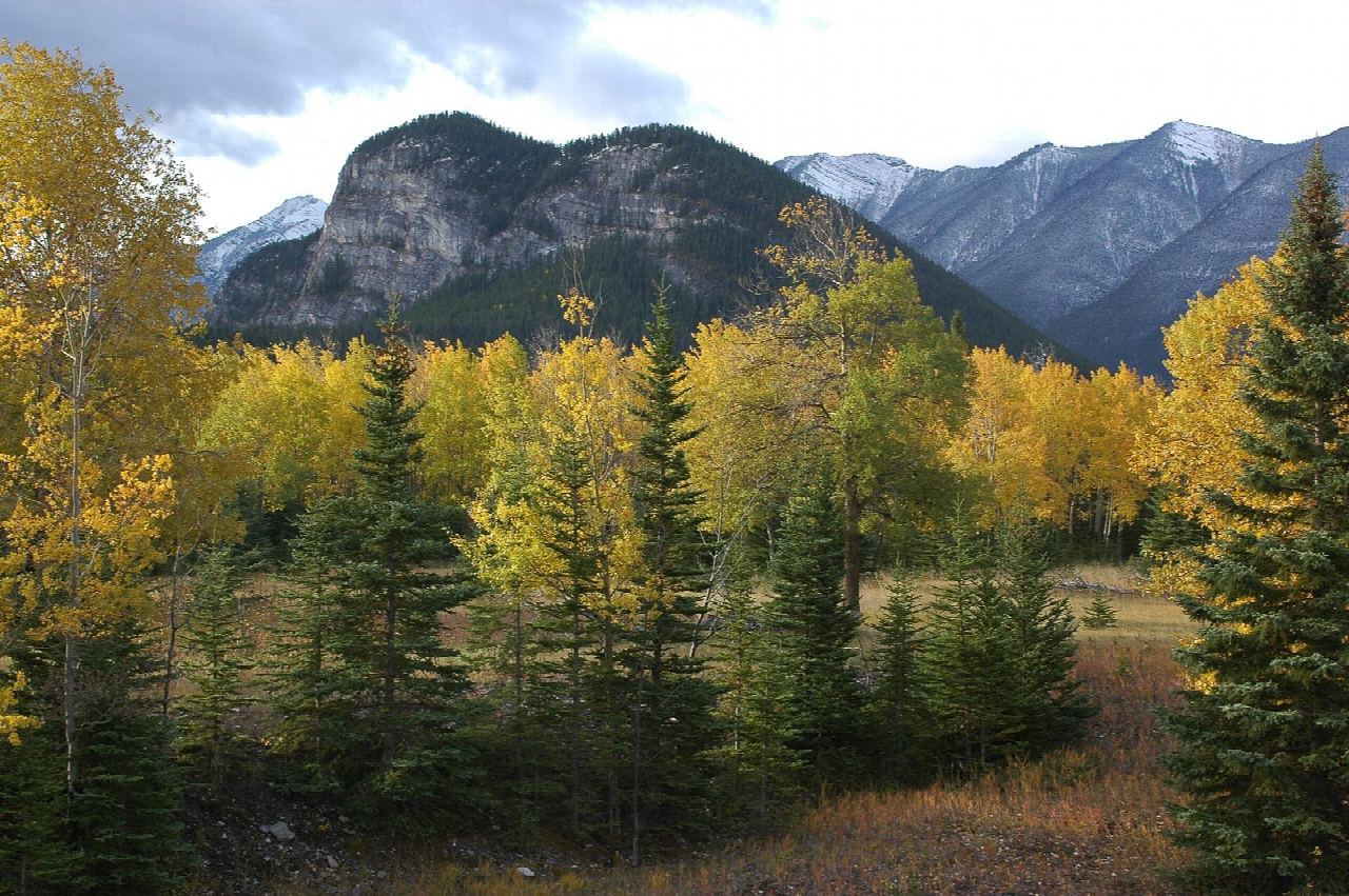 Tunnel Mountain