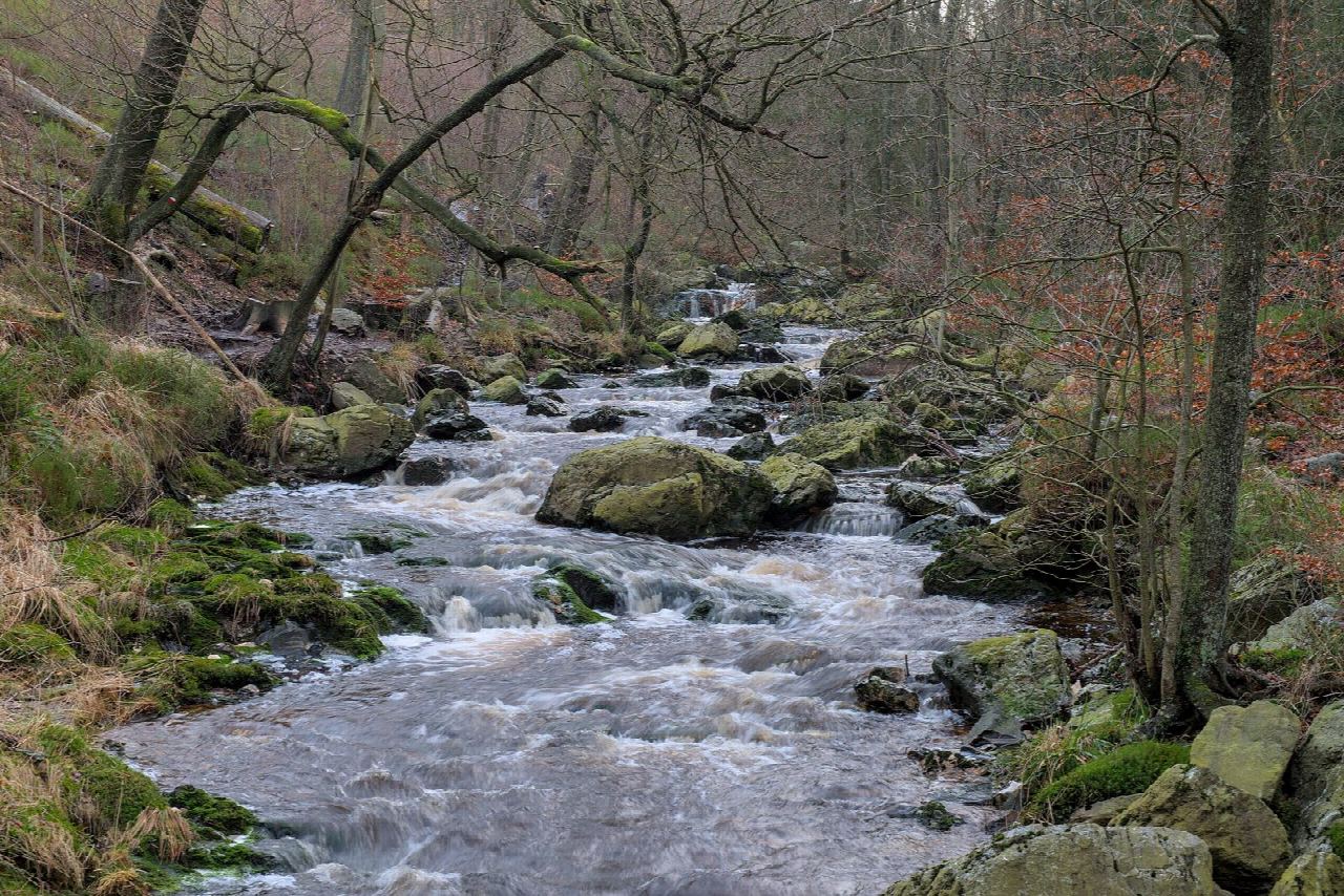 La vallée de la Hoëgne depuis le pont de Belleheid