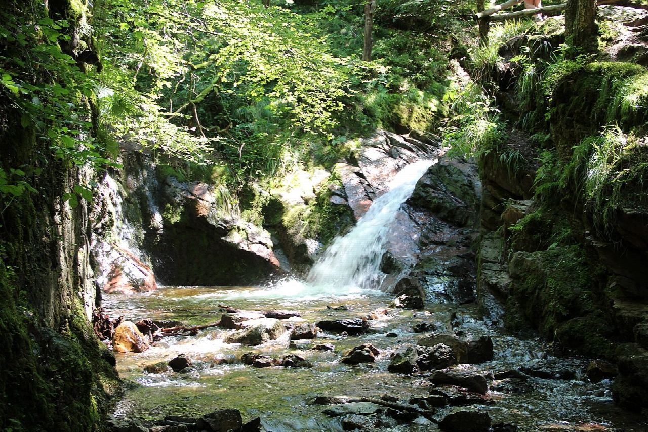 Le vallon du Ninglinspo