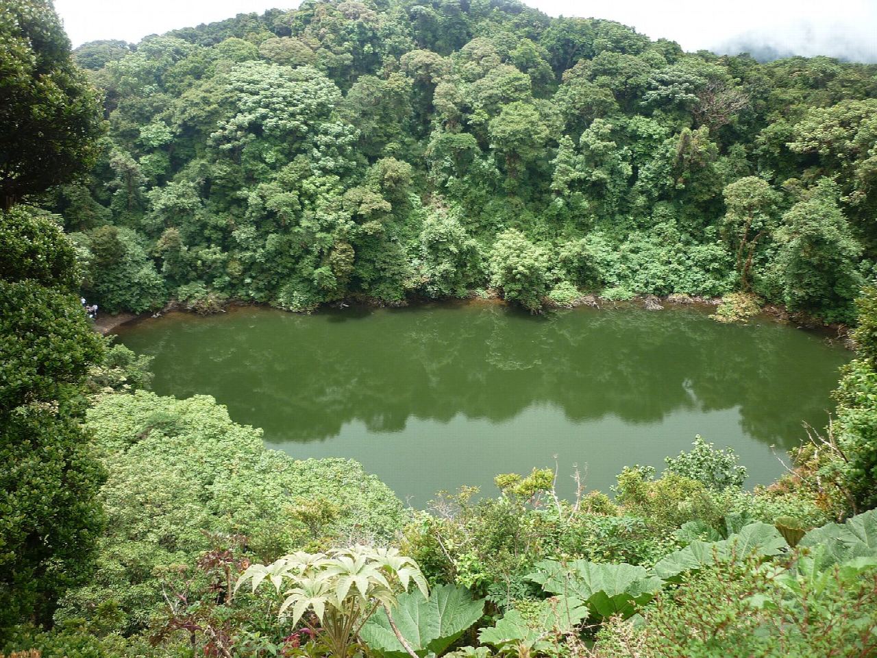 Laguna del Barva, Braulio Carrillo