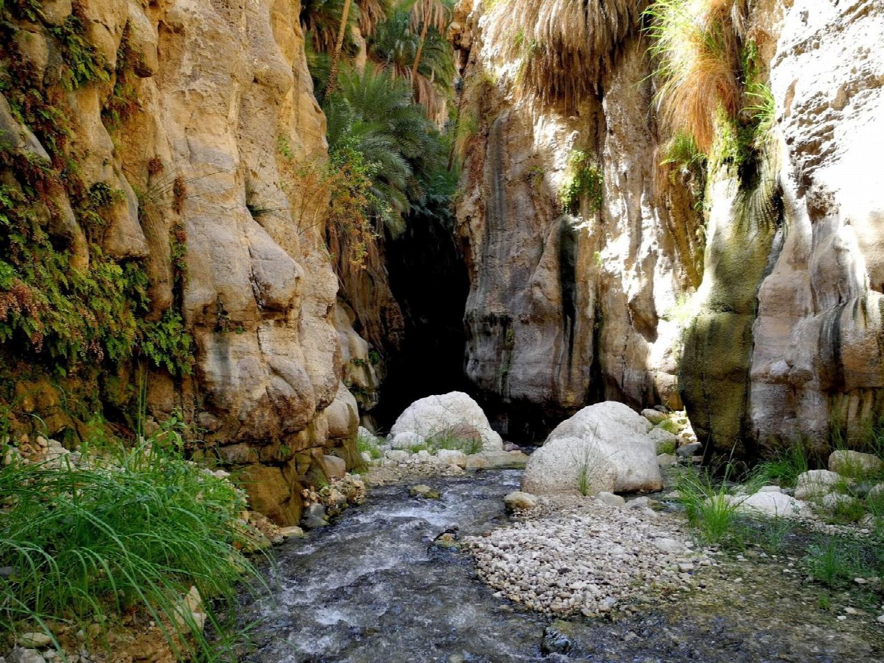 Wadi Bin Hammad hot-spring canyon