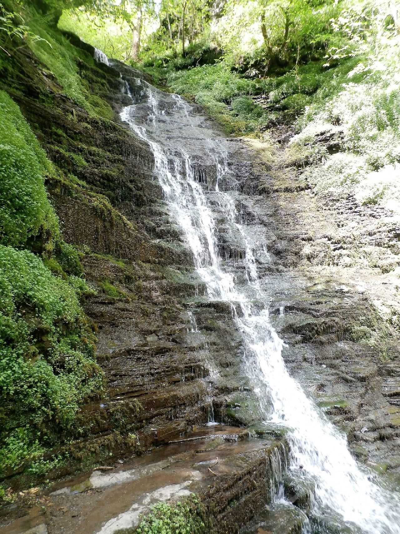 Water-break-its-neck and the Warren Trail