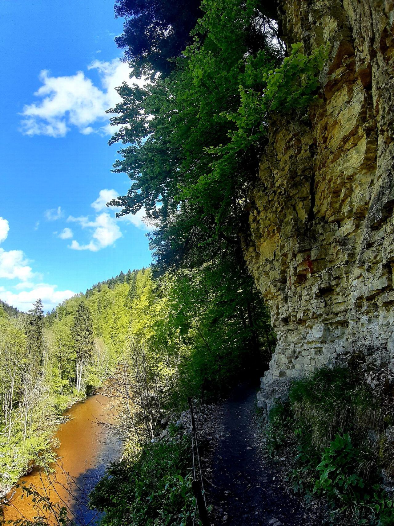 Wutachschlucht from the Wutachmühle to the Schattenmühle