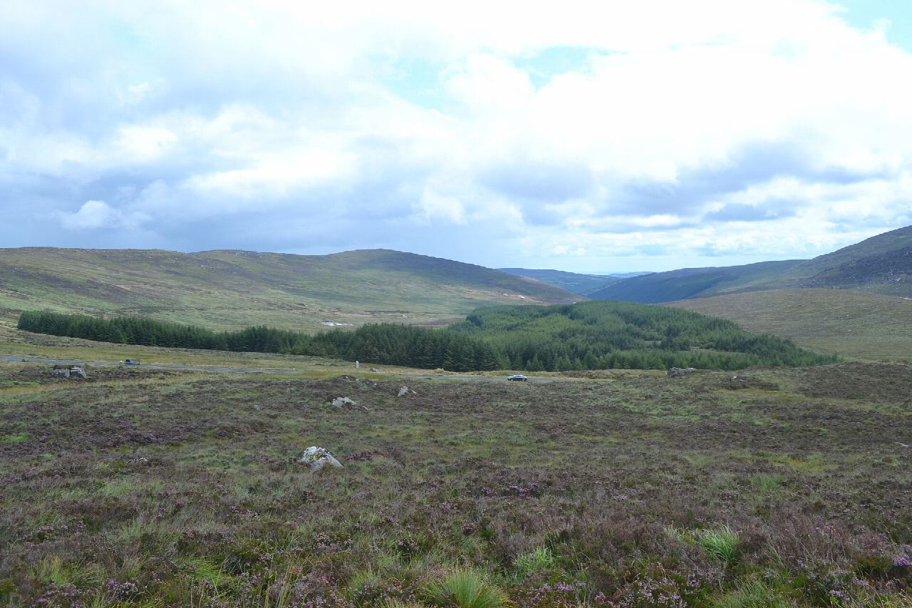 St Kevin's Way from Valleymount
